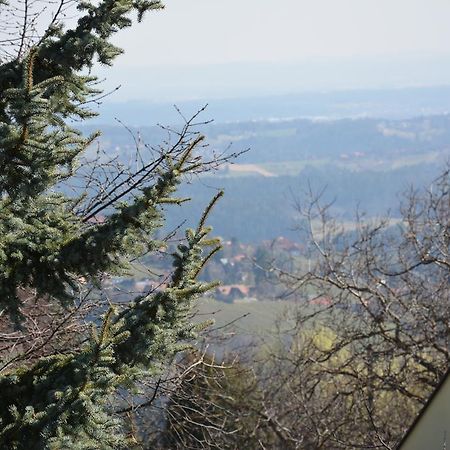 Weingut Seiner Vlg. Kraxner Villa Greisdorf Exterior photo