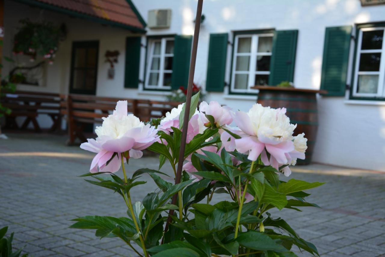 Weingut Seiner Vlg. Kraxner Villa Greisdorf Exterior photo